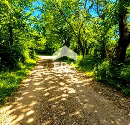 Photo 3 — Plot in област София, Godech