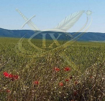 Photo 5 — Plot in Oblast Burgas, Kableshkovo