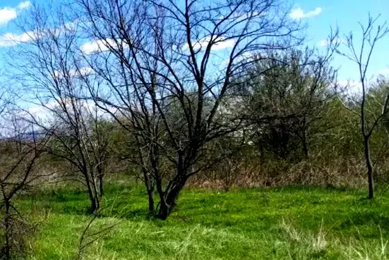 Парцел в Пловдив, Карлово