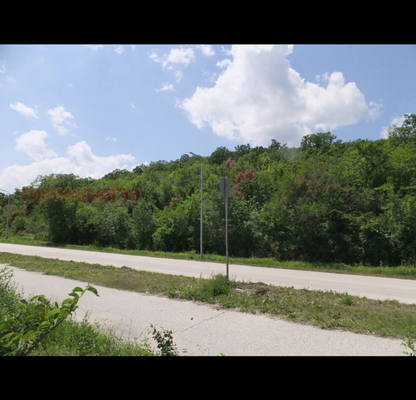 Photo 2 — Plot in Oblast Dobrich, Albena