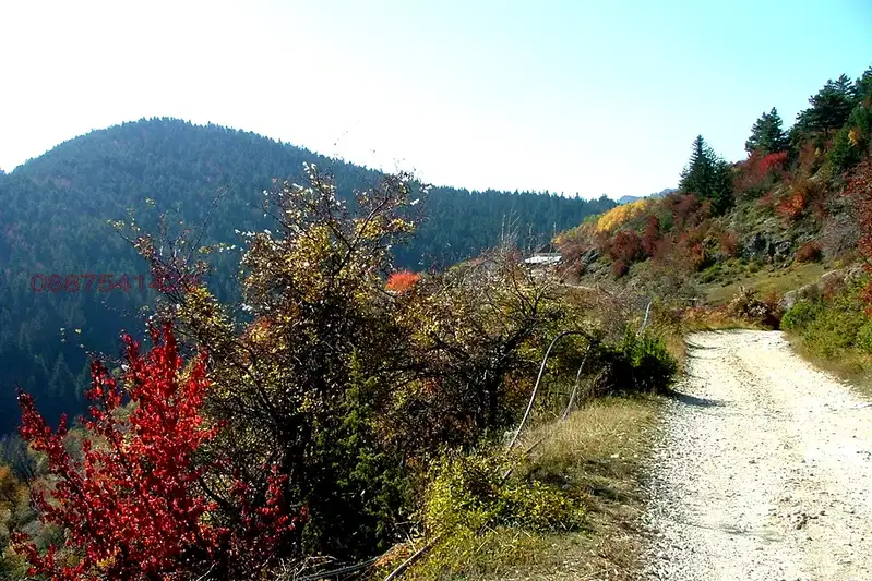 Plot in Oblast Smolyan, Pamporovo