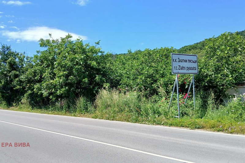 Plot in Zlatni Pyasyci