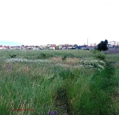 Photo 4 — Plot in област София, Kostinbrod