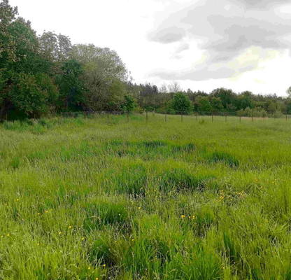 Photo 4 — Plot in Pernik, Cyrkva