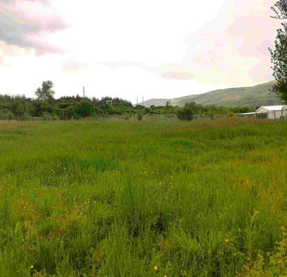 Photo 5 — Plot in Pernik, Cyrkva