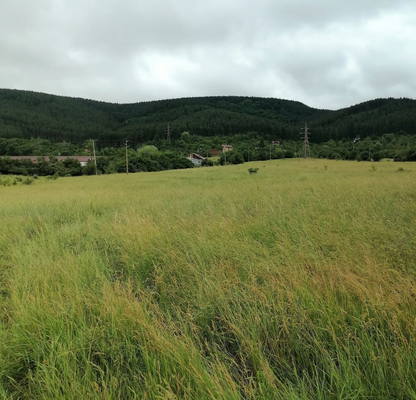 Photo 3 — Plot in Pernik, Kalkas