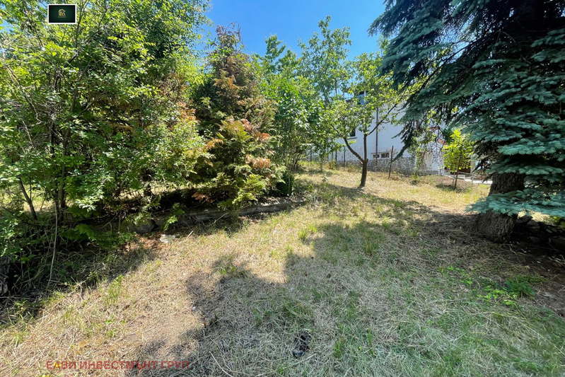 Plot in Pernik, Радина чешма