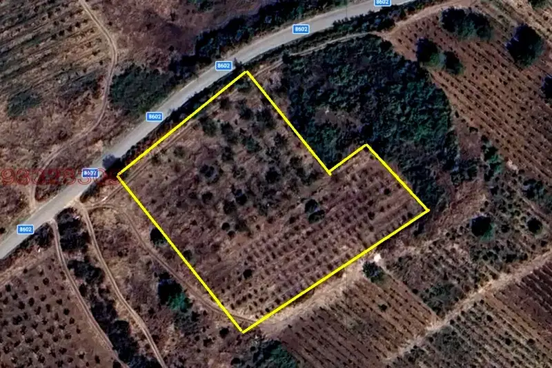 Plot in Oblast Plovdiv, Perushtica