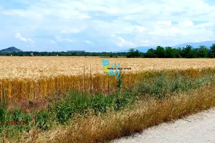 Парцел в Пловдив, Отдих и култура