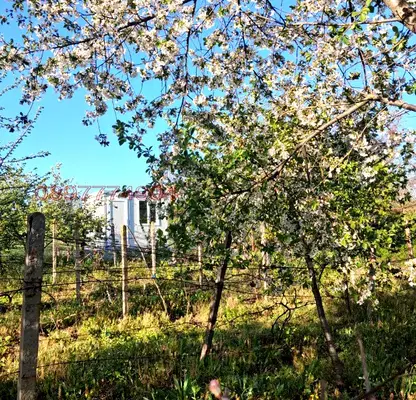 Снимка 3 — Парцел в Раз, Промишлена зона - Запад
