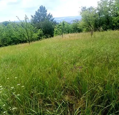 Photo 2 — Plot in Raz, Promishlena zona - Zapad