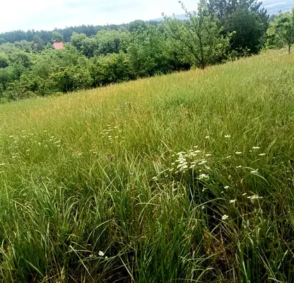 Photo 3 — Plot in Raz, Promishlena zona - Zapad