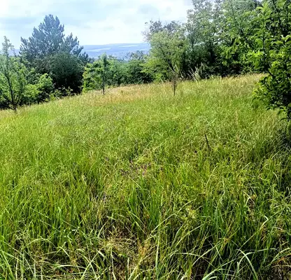 Photo 4 — Plot in Raz, Promishlena zona - Zapad