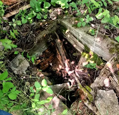 Photo 5 — Plot in Raz, Promishlena zona - Zapad