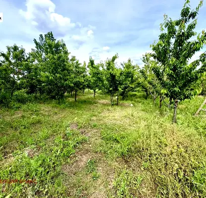 Photo 2 — Plot in Ruse, в.з. Астарджийка