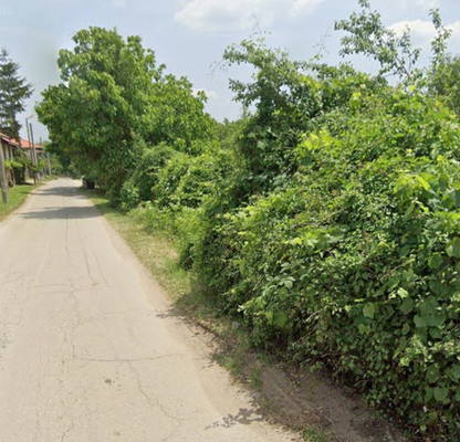 Photo 2 — Plot in Oblast Lovech, Balabansko