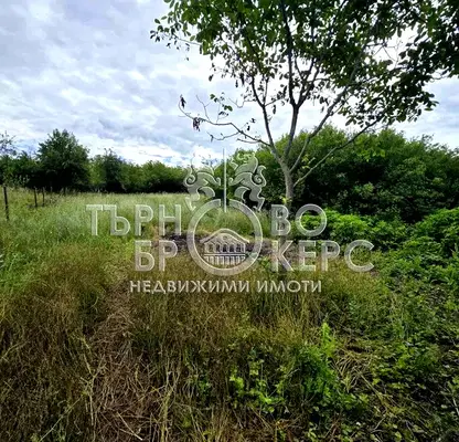 Снимка 2 — Парцел във Велико Търново, с. Балван