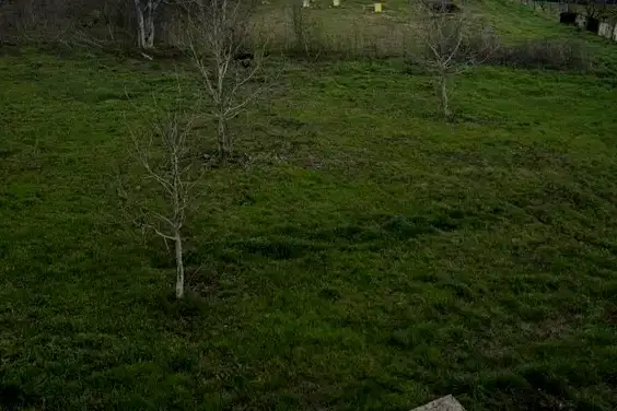 Plot in Oblast Ruse, Basarbovo