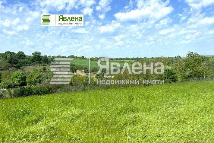 Plot in Oblast Burgas, Belila