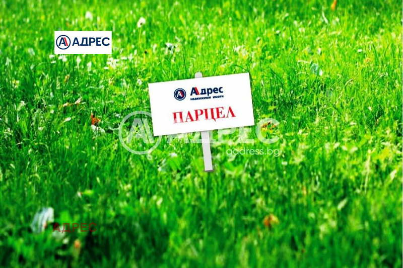 Plot in Oblast Varna, Bliznaci