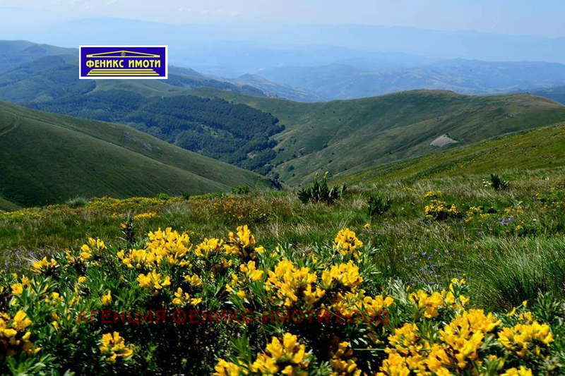 Plot in Kyustendil, Bogoslov