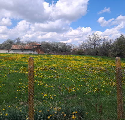 Photo 2 — Plot in Oblast Pleven, Bohot