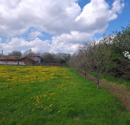 Photo 3 — Plot in Oblast Pleven, Bohot
