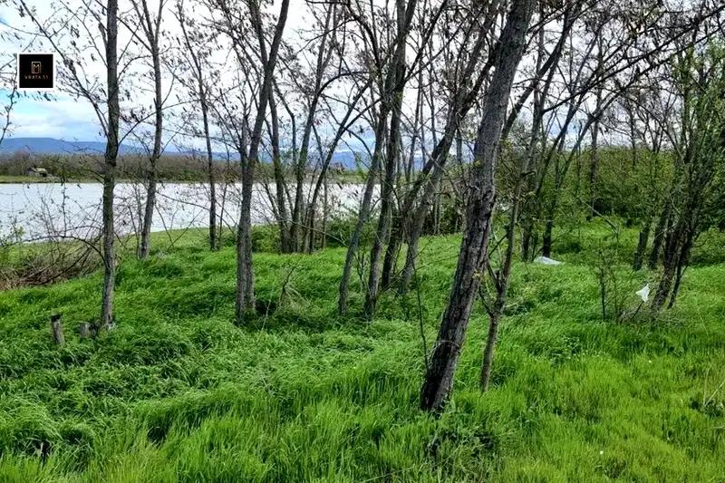 Plot in Oblast Plovdiv, Borec