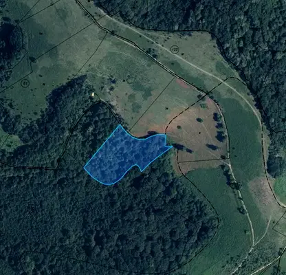 Photo 2 — Plot in Oblast Lovech, Borima