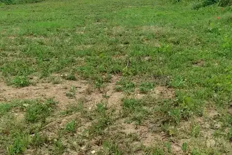 Plot in Oblast Plovdiv, Brestnik