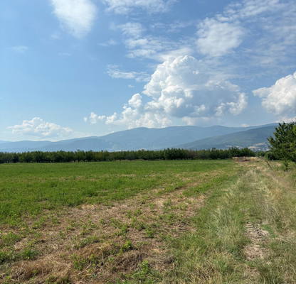 Photo 2 — Plot in Oblast Plovdiv, Brestnik