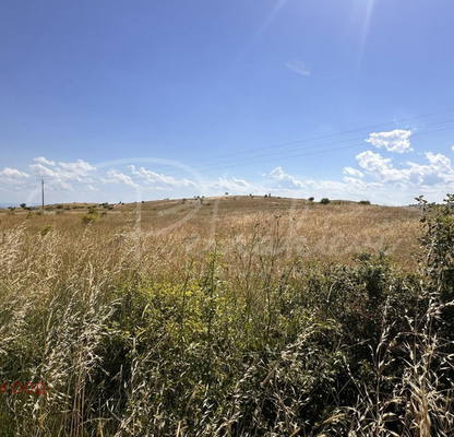 Photo 3 — Plot in Bryastovec