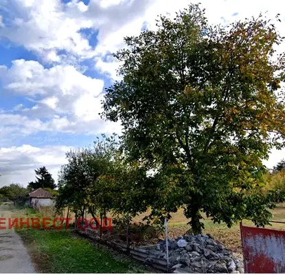 Photo 2 — Plot in Oblast Ruse, Bryshlen
