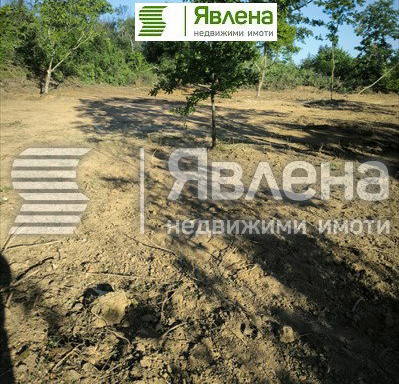 Photo 5 — Plot in Oblast Burgas, Bylgari