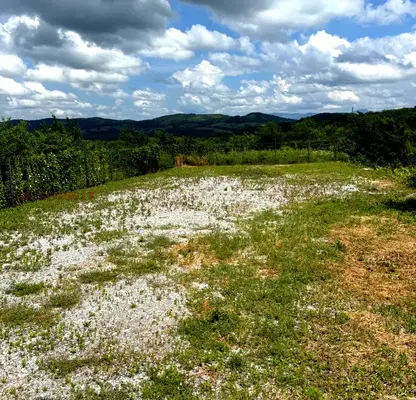 Photo 3 — Plot in Oblast Montana, Byrziya