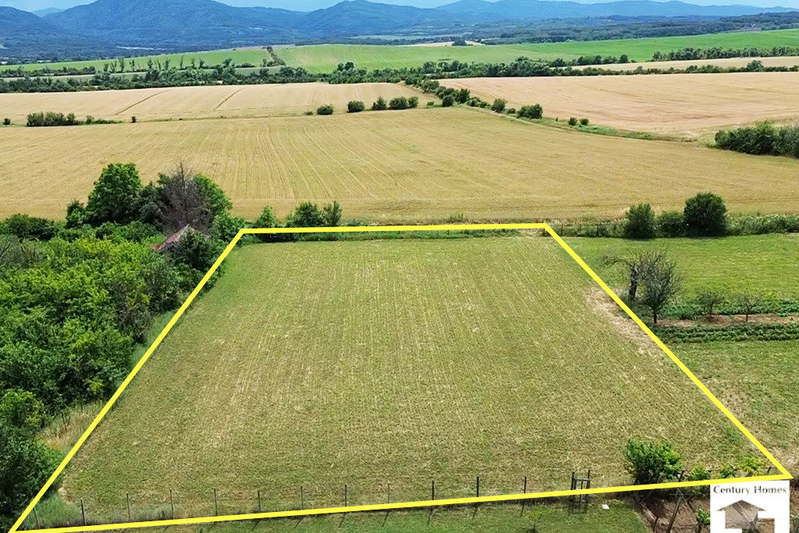 Plot in Oblast Veliko Tyrnovo, Cerova Koriya