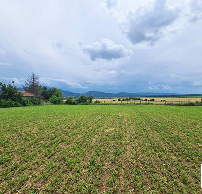 Photo 2 — Plot in Oblast Veliko Tyrnovo, Cerova Koriya