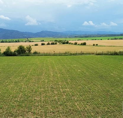 Photo 4 — Plot in Oblast Veliko Tyrnovo, Cerova Koriya