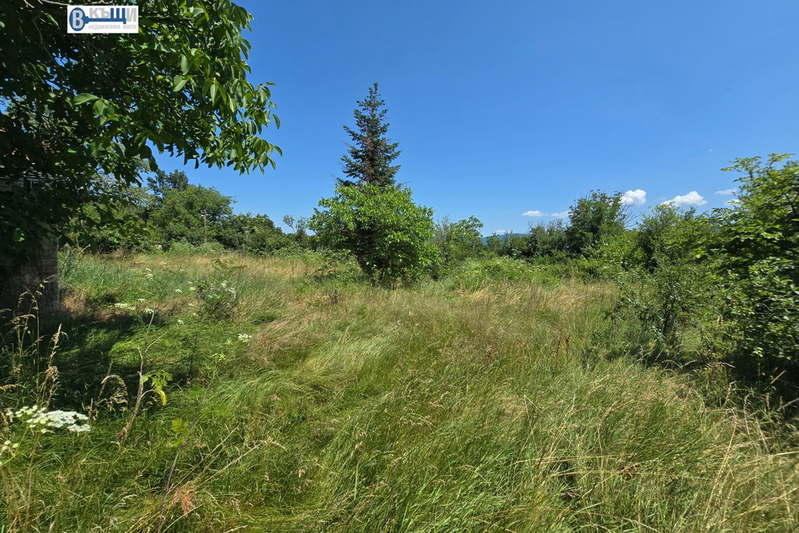 Plot in Oblast Veliko Tyrnovo, Cerova Koriya