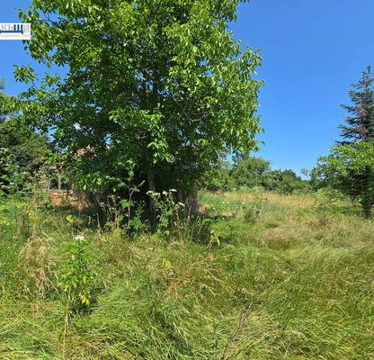 Photo 4 — Plot in Oblast Veliko Tyrnovo, Cerova Koriya