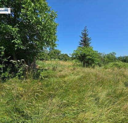 Photo 5 — Plot in Oblast Veliko Tyrnovo, Cerova Koriya
