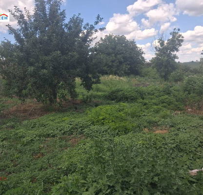 Photo 2 — Plot in Oblast Tyrgovishte, Davidovo