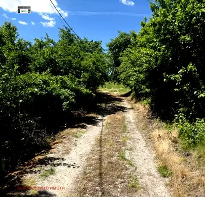 Photo 2 — Plot in Oblast Pernik, Divotino