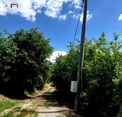Photo 3 — Plot in Oblast Pernik, Divotino