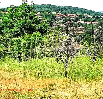 Photo 2 — Plot in Oblast Veliko Tyrnovo, Dobri Dyal