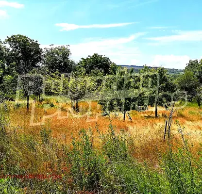 Photo 3 — Plot in Oblast Veliko Tyrnovo, Dobri Dyal