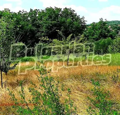 Photo 4 — Plot in Oblast Veliko Tyrnovo, Dobri Dyal