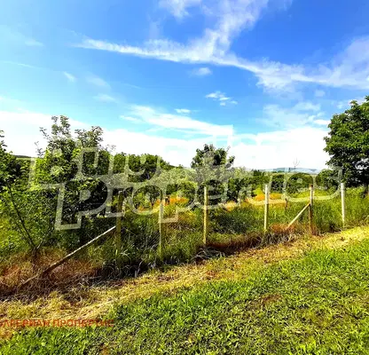 Photo 5 — Plot in Oblast Veliko Tyrnovo, Dobri Dyal