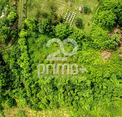 Photo 2 — Plot in Oblast Veliko Tyrnovo, Dragijevo