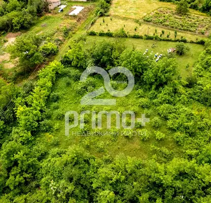Photo 3 — Plot in Oblast Veliko Tyrnovo, Dragijevo